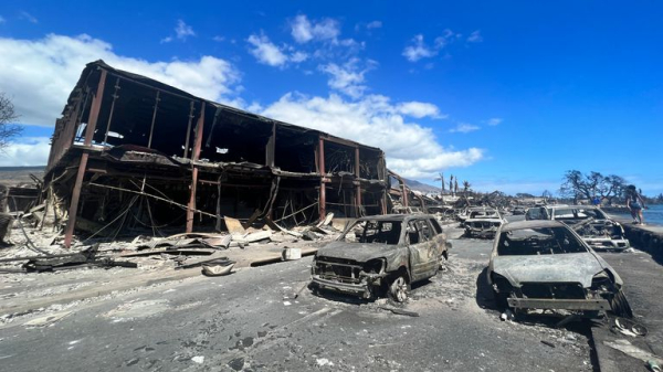 Hawaii wildfire: 'Everything we know is gone': Residents' shock at charcoaled homes after wildfires kill at least 80