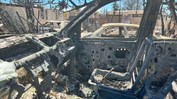 Hawaii wildfire: 'Everything we know is gone': Residents' shock at charcoaled homes after wildfires kill at least 80